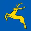Sambir – vlajka