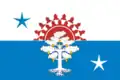 Serov – vlajka