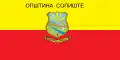 Opština Sopiště – vlajka
