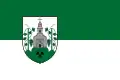 Szőc – vlajka