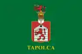 Tapolca – vlajka