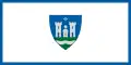 Tolna – vlajka