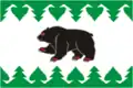 Turinsk – vlajka