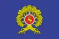 Urjupinsk – vlajka