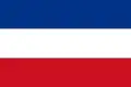 Valledupar – vlajka