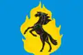 Jurga – vlajka