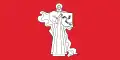 Žodzina – vlajka