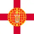 Vlajka státu