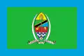 Tanzanie Vlajka Tanzanie