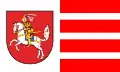 Zemský okres Dithmarsche – vlajka