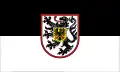 Landau in der Pfalz – vlajka