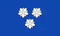 Viersen – vlajka