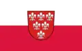 Sulzbach-Rosenberg – vlajka