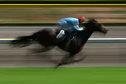 Horse racing event