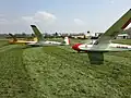 Flotila kluzáků aeroklubu Chrudim na letišti v Chrudimi