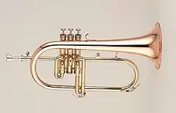 Křídlovka