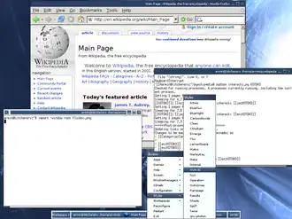 Screenshot Fluxbox s upraveným skinem