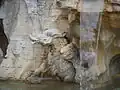 Krokodýl