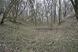 Tvrziště