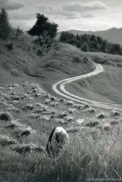 Léto