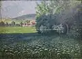 Rozkvetlá louka (olej na kartonu)
