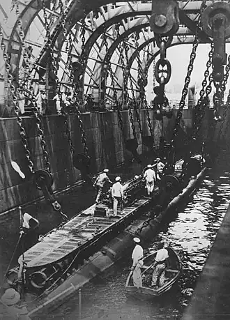 Argonaute