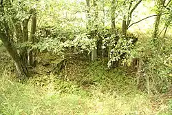 Front stones of Palliardi archeological site near Koberův mill near Vysočany, Znojmo District.jpg