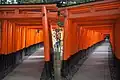Tunely z bran torii