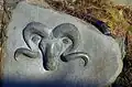 Reliéf kozoroha (znak Kujallequ) v Qaqortoqu