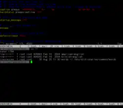 GNU Screen s půlenou obrazovkou