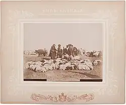 Ukázka fotografie v různých paspartách