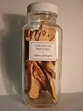 Sušený oddenek galgánu lékařského
