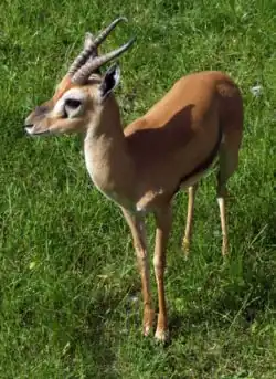 alternativní popis obrázku chybí