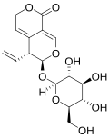 Hořčina gentiopikrosid