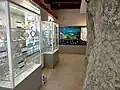 Geologická část stálé expozice