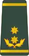 Gruzie: armáda