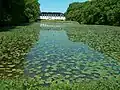 Pohled přes jezero