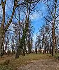 Godnów (Gnadenberg), park, Polsko