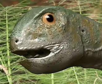 alternativní popis obrázku chybí