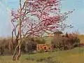 Krajina s rozkvetlou mandloní, 1912