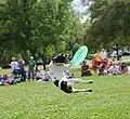 Pes chytá míč při dogfrisbee