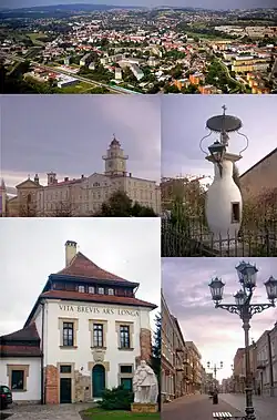 Koláž: Panorama města, radnice, památník první plynové lampy na světě, Dvůr Karwacjanů, ul. 3. maja