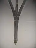 Gotická síň