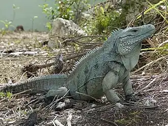 alternativní popis obrázku chybí