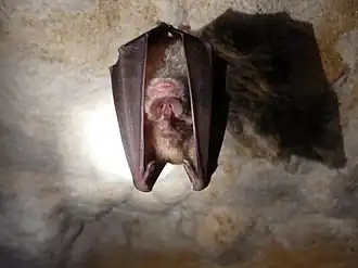 alternativní popis obrázku chybí