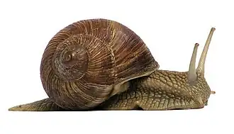 alternativní popis obrázku chybí