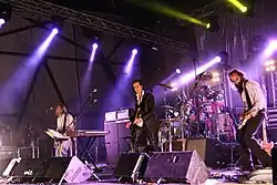 Grinderman v roce 2011