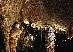 Grotta Gigante, pohled od vchodu pro turisty