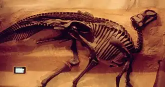 alternativní popis obrázku chybí