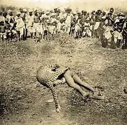 Fotografie zachycuje levharta zakousnutého do hlavy nahého chlapce. Oba leží a jsou mrtví, neboť levhart byl zabit hned poté, co chlapce usmrtil.